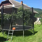 ромашка Sheshory