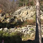 Holiday home ромашка
