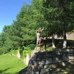 ромашка *
