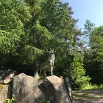 Holiday home ромашка *