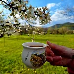 ромашка