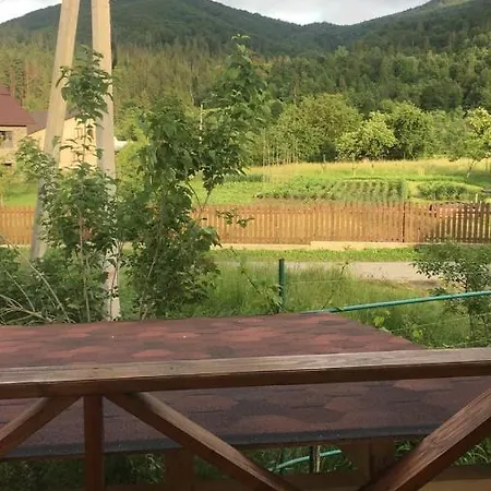 ромашка ששורי