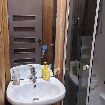 ромашка Šešory