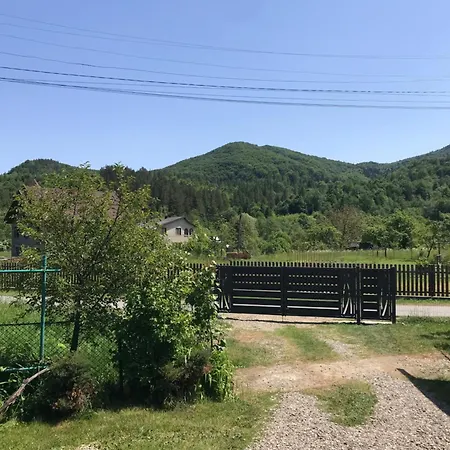 ромашка ששורי