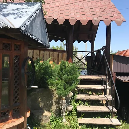 בית נופש ромашка ששורי