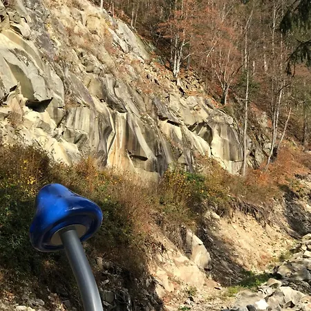 ромашка בית נופש