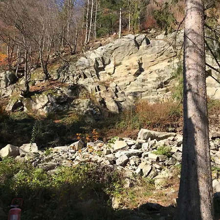 Prázdninový dům ромашка