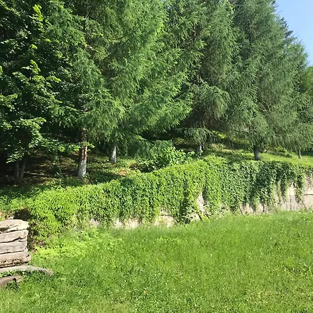 בית נופש ромашка