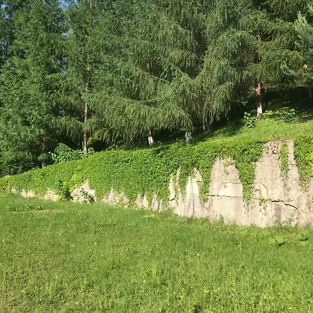 ромашка בית נופש