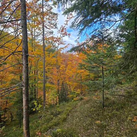 Prázdninový dům ромашка