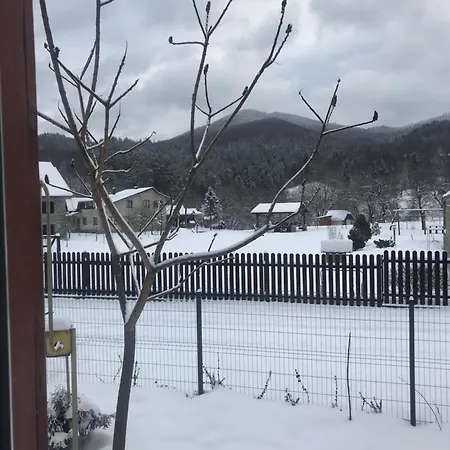 ромашка Prázdninový dům