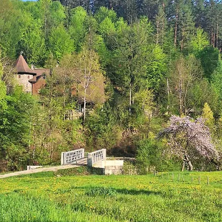 Tatil Evi ромашка *