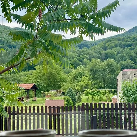 ромашка *