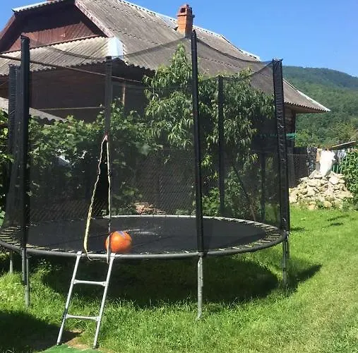 ромашка Sheshory