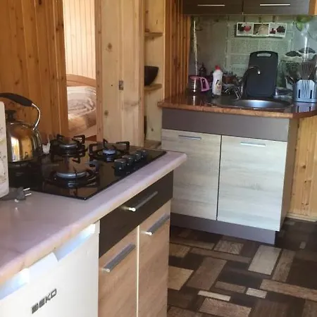 ромашка * Sheshory