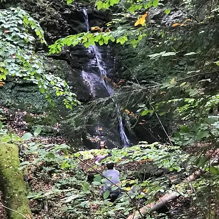 ромашка Сasa de vacaciones