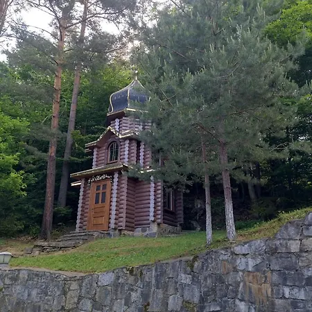 ромашка Šešory