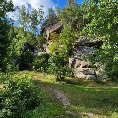 ромашка Сasa de vacaciones Sheshory