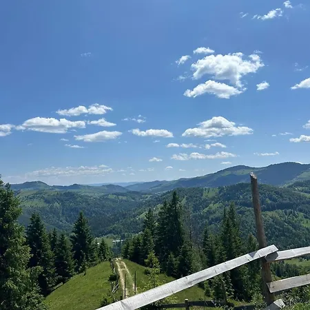 Сasa de vacaciones ромашка