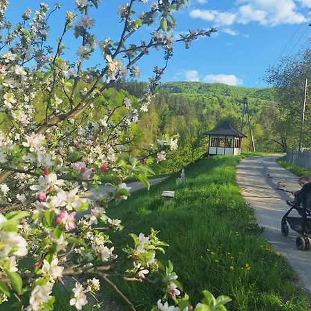 ромашка Šešory