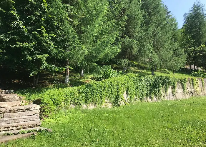 بيت للعطل ромашка