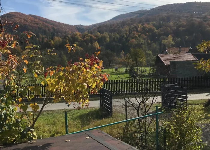 ромашка بيت للعطل