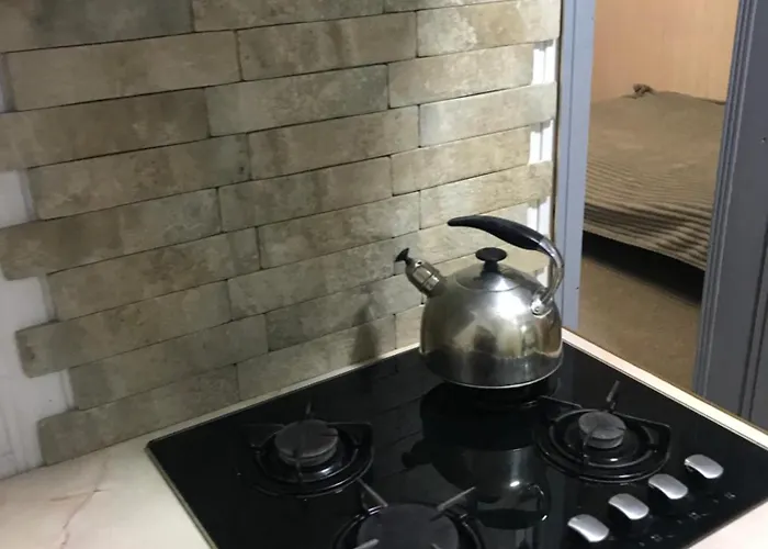 ромашка بيت للعطل *