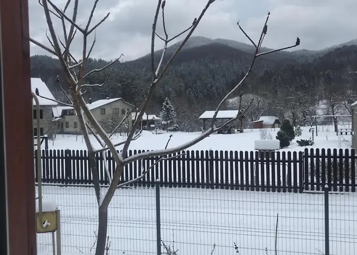 ромашка بيت للعطل